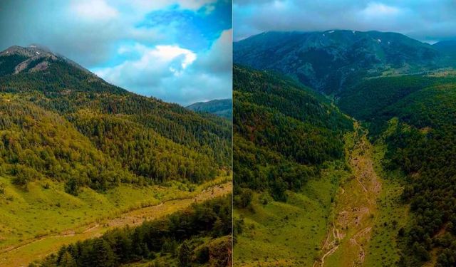 Kayseri’de gizli kalmış doğa karikası: Yazıçam Ormanları İsviçre’yi andırıyor