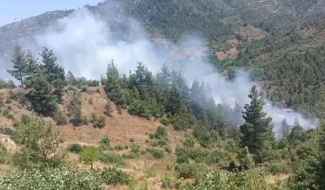 Adana'da orman yangını!