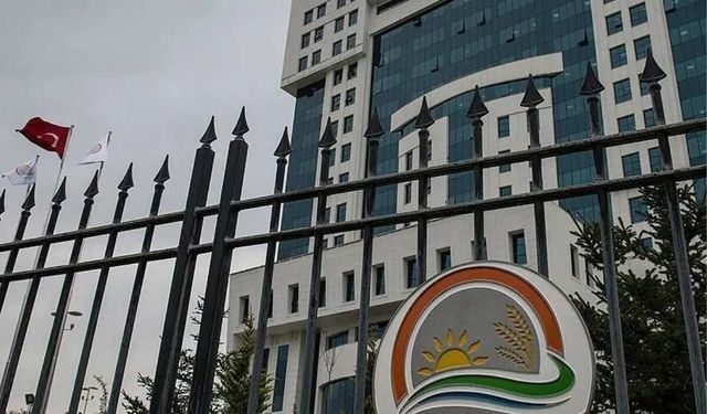 Kayserili firmaya ait peynirde nişasta kullanıldığı tespit edildi