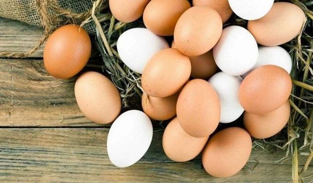 Kayseri’de yumurta fiyatları düştü: Yeni fiyat belli oldu