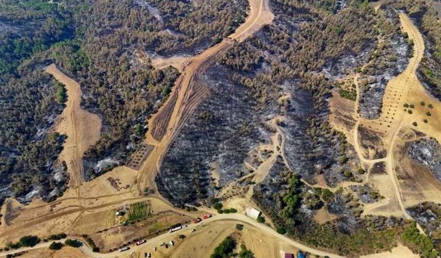 Adana’da orman yangınıyla mücade devam ediyor: 40 ev tahliye edildi