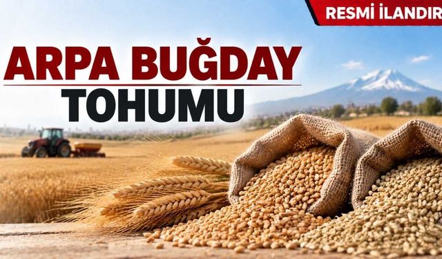 ARPA BUĞDAY TOHUMU
