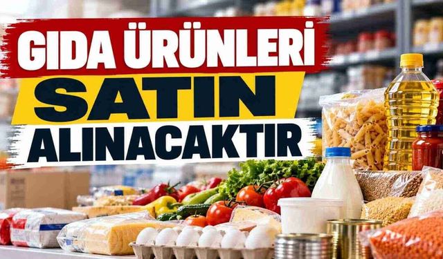GIDA ÜRÜNLERİ SATIN ALINACAKTIR
