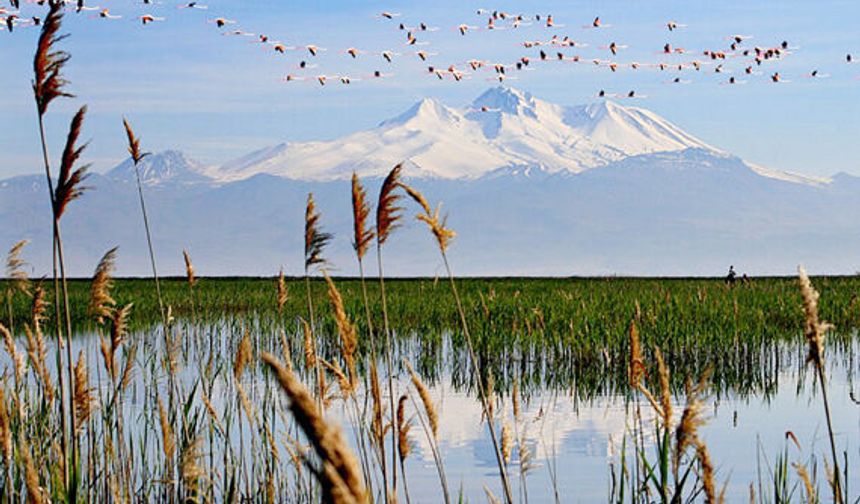 Fotoğraf Eğitiminin Beşincisi Sindelhöyük Ve Sultan Sazlığı'nda