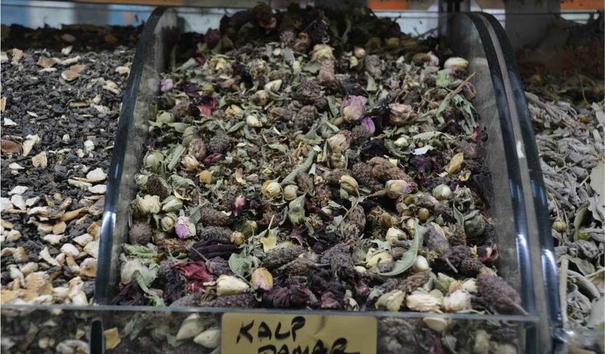 Kayseri’de Kalp ve damar hastalıklarına iyi gelen bitki çayına yoğun ilgi