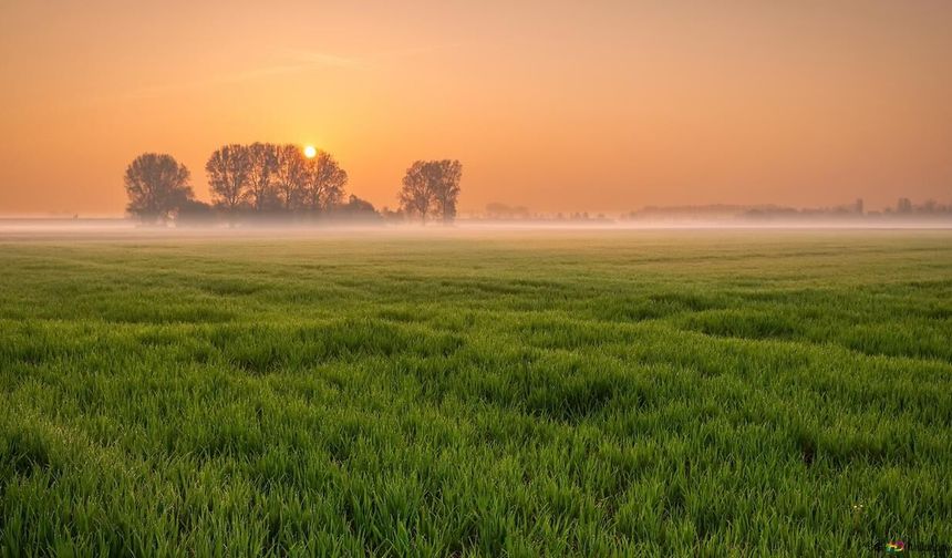 Kayserililere mahkemeden fırsat: Bu rakamı getiren 7 dönüm tarla alacak