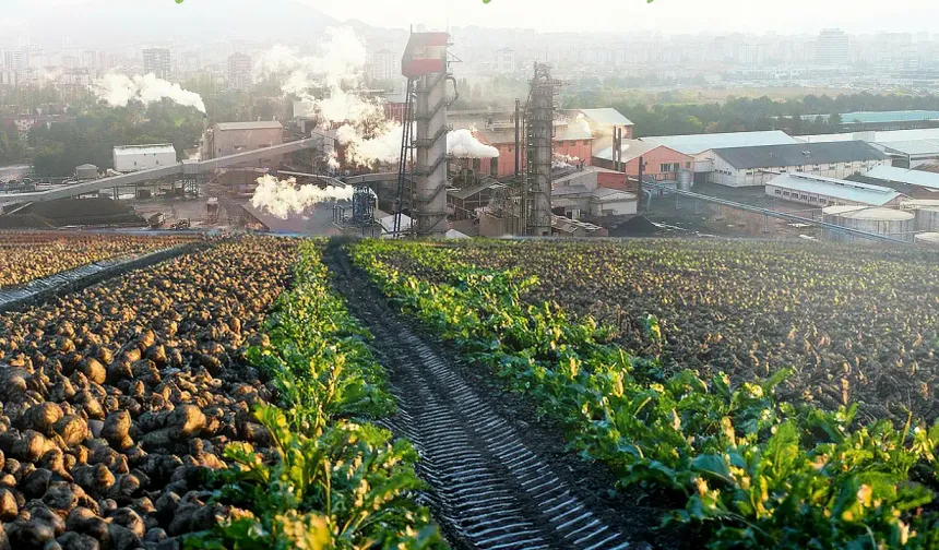 Kayseri'de dev tarla satışa çıktı: Mahkeme resmen bu rakamı istedi
