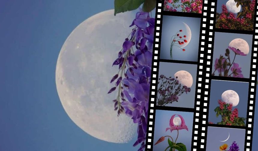 Kayserili gökyüzü fotoğrafçısı Betül Türksoy 'Ay Çiçekleri 2025' fotoğraf koleksiyonu