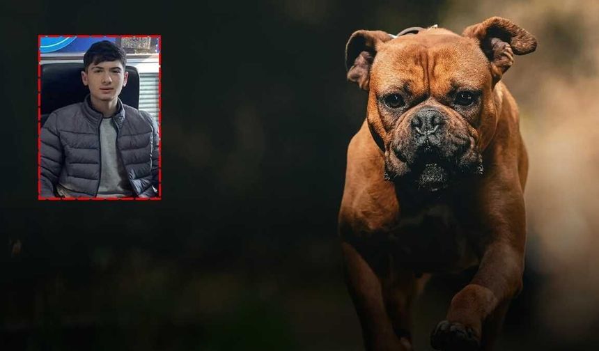 16 yaşındaki genç köpekten kaçarken canından oldu!