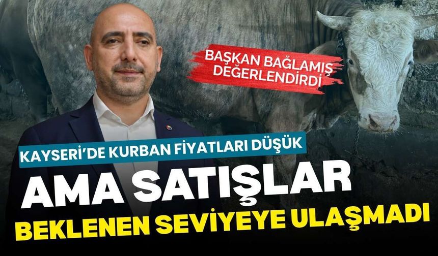 Kayseri’de kurban fiyatları düşük ama satışlar beklenen seviyeye ulaşmadı
