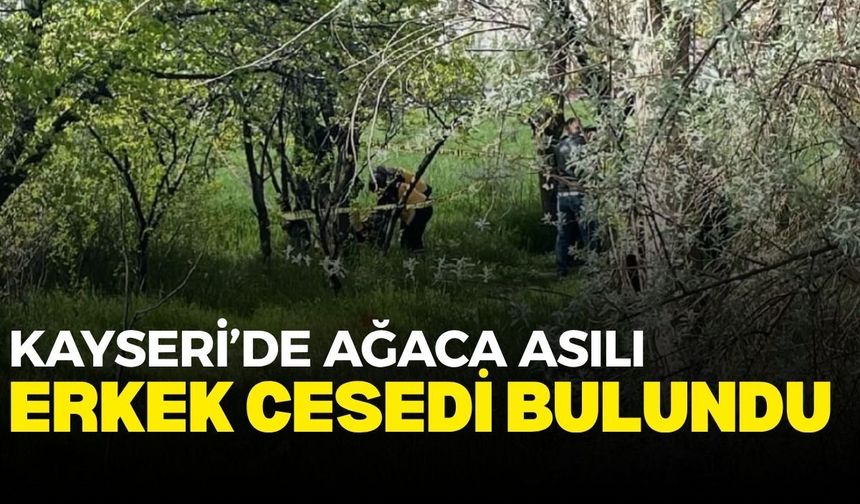 Kayseri’de ağaca asılı erkek cesedi bulundu