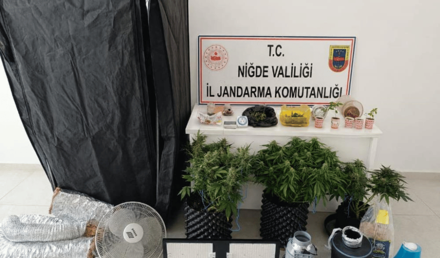 Yasa dışı ekim yapan 4 şüpheliye gözaltı!