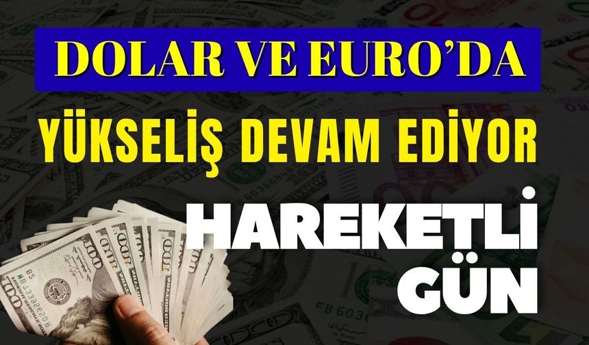 Dolar 46 liranın üzerindeki seyrini korudu