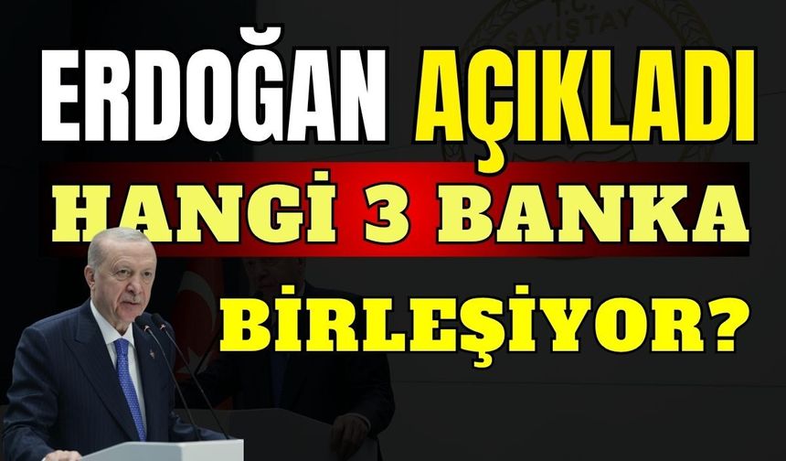 Üç kamu katılım bankası tek çatı altında birleşiyor