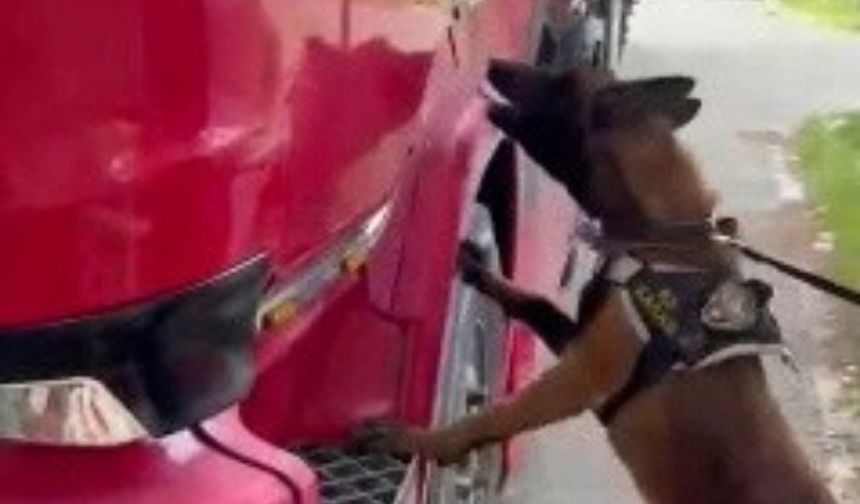 Niğde'de uyuşturucu operasyonları: 5 şüpheli tutuklandı!