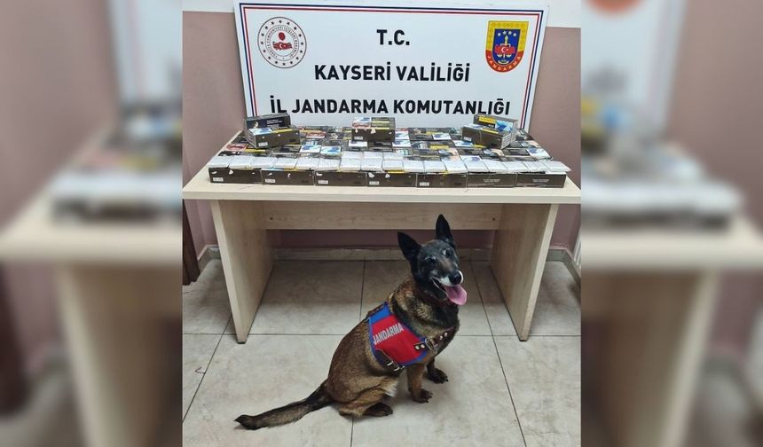 Pınarbaşı’nda 10 bin doldurulmuş makaron ele geçirildi