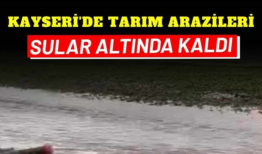 Kayseri'de tarım arazileri sular altında kaldı