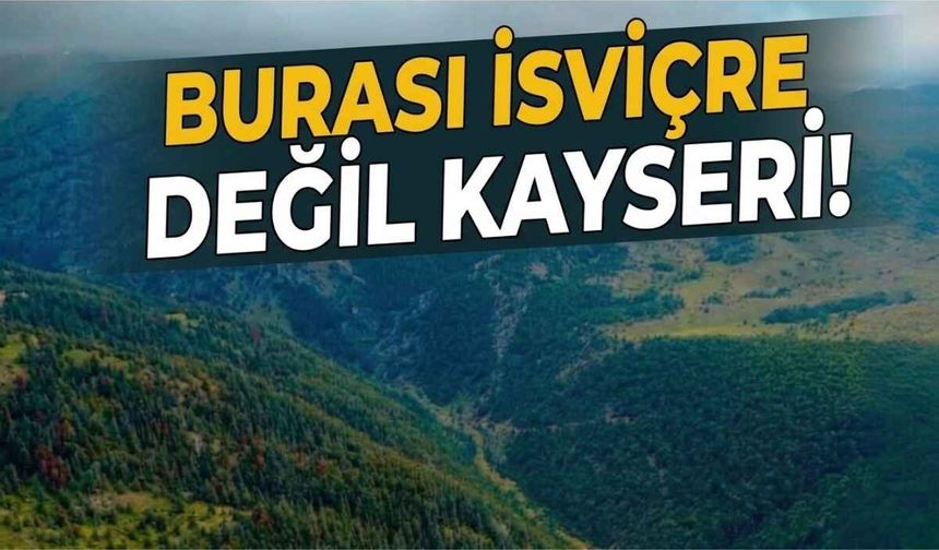 Kayseri’de gizli kalmış doğa karikası: Yazıçam Ormanları İsviçre’yi andırıyor