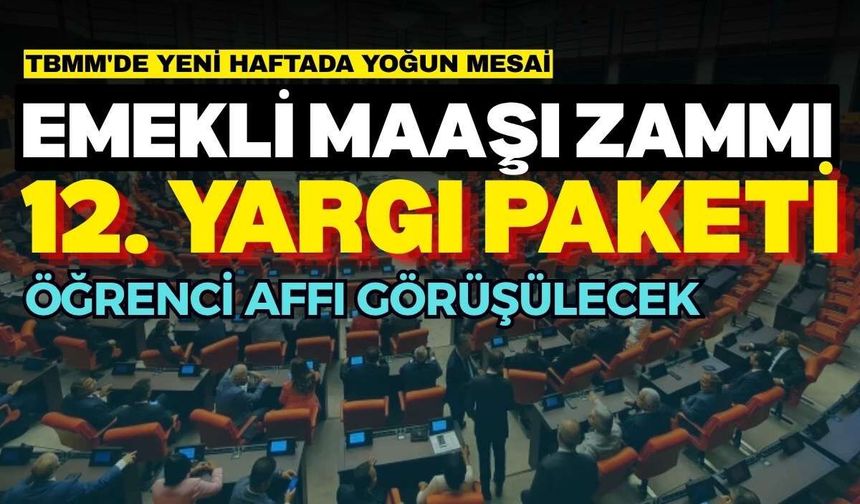 TBMM'de yeni haftada yoğun mesai: Emekli maaşı zammı, 12. yargı paketi ve öğrenci affı görüşülecek