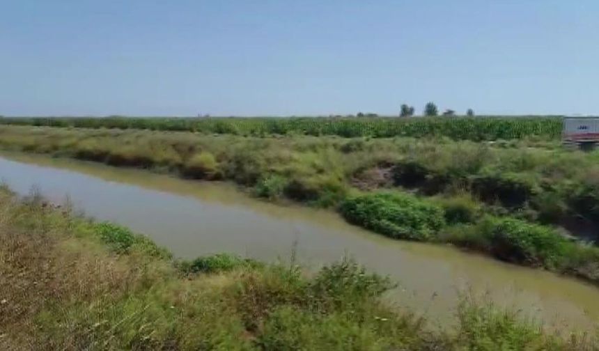 Adana'da balık tutarken nehre düşen 60 yaşındaki adam kayboldu