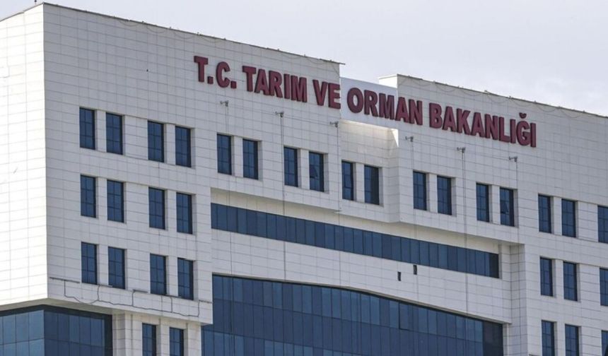 Hunat tereyağı cezası yargıya taşındı: Firma karara itiraz etti