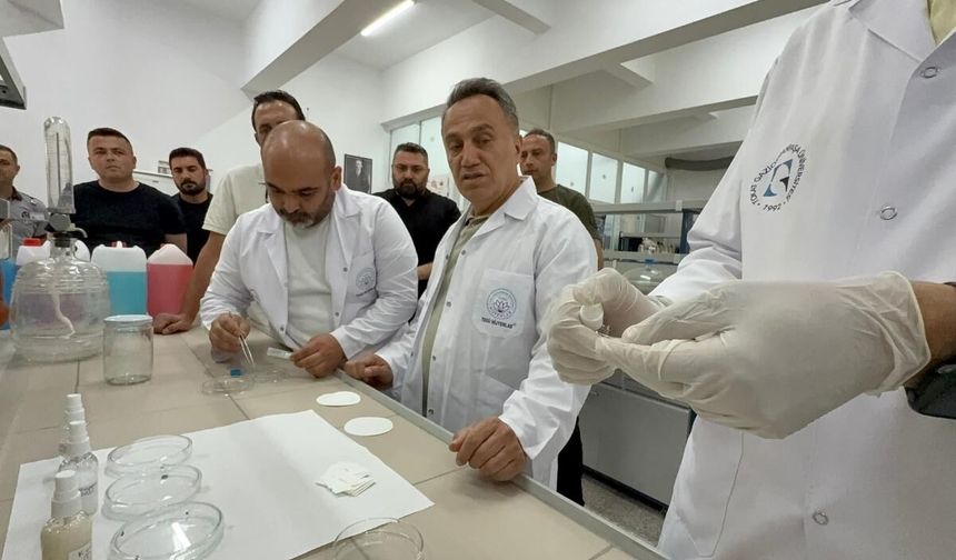 Keneler artık yaklaşamayacak: Bilim insanlarından dikkat çeken çalışma!