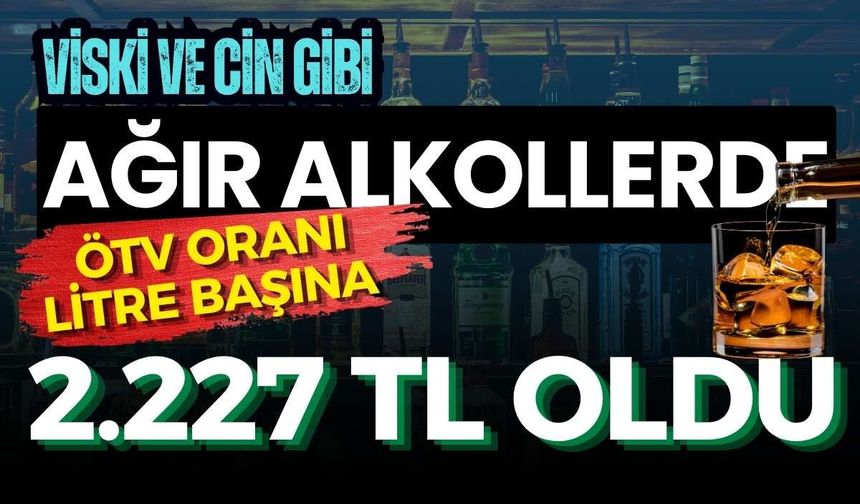 Viski ve cin gibi yüksek alkollü içkilerde litre başına ÖTV 2.227 TL oldu