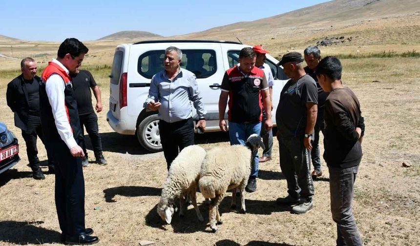 Kayseri’de belediye başkanı ve kaymakam yaylaya çıktı!