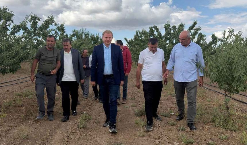 Kayseri’de alternatif tarımla badem yetiştirdi: Kaymakam ve belediye başkanı yerinde inceledi!