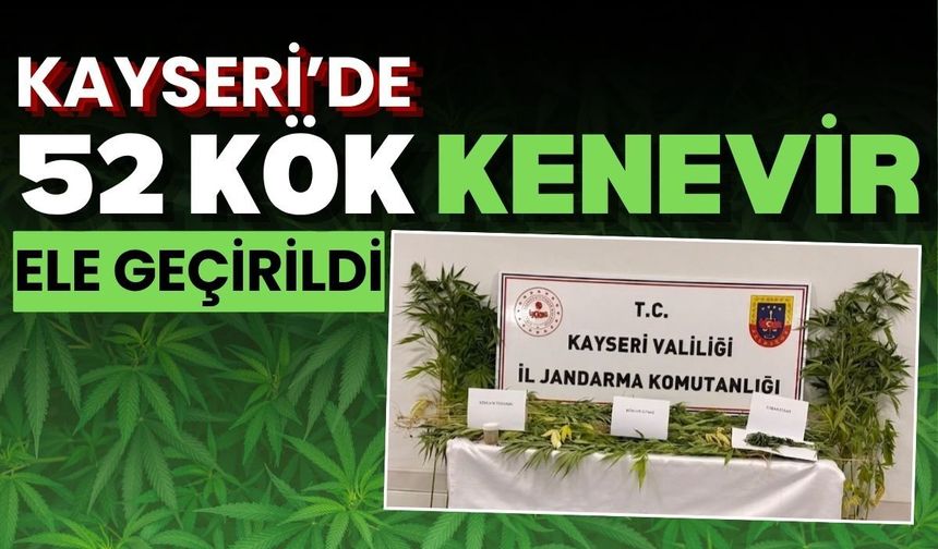 Develi'de 52 kök kenevir ele geçirildi