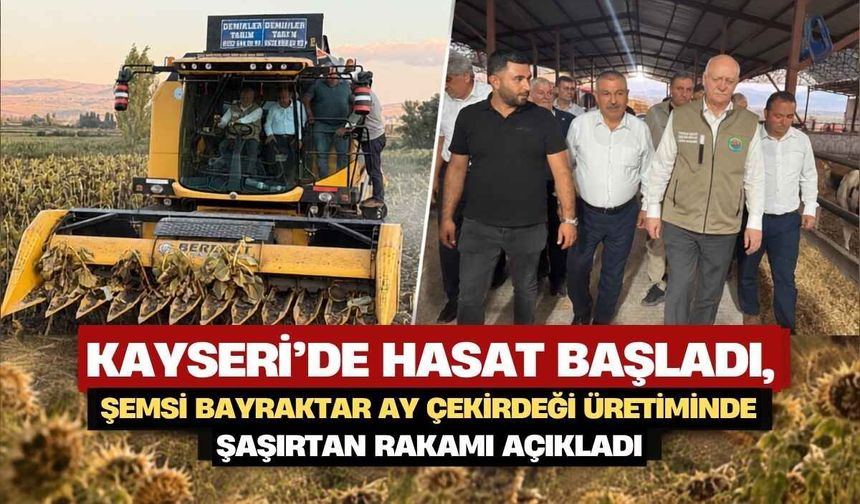Kayseri'de hasat başladı, Şemsi Bayraktar ay çekirdeği üretiminde şaşırtan rakamı açıkladı