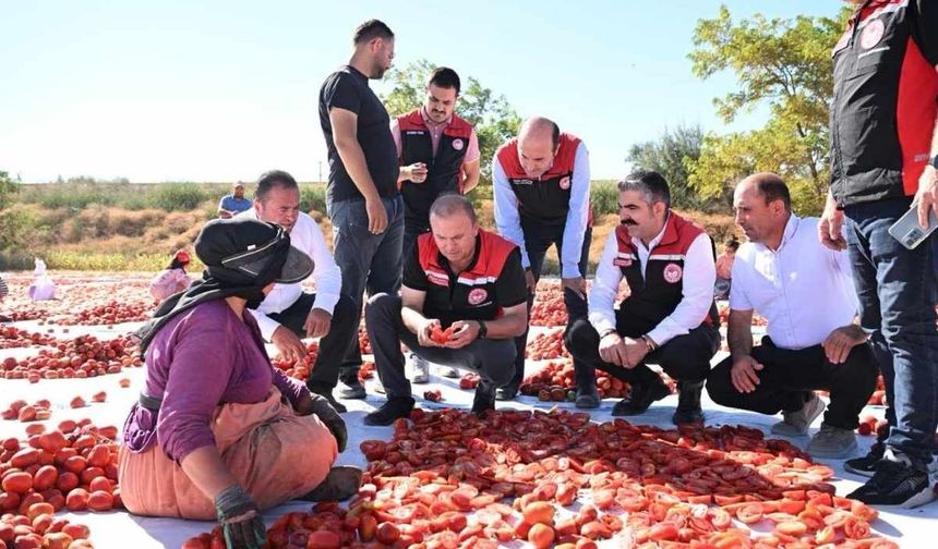 Yeşilhisar’ın domatesi güneşte kurutuluyor, yurt dışına ihraç ediliyor