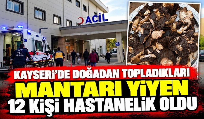 Kayseri'de doğadan topladıkları mantarı yiyen 12 kişi hastanelik oldu