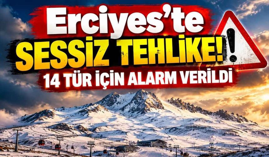 Erciyes'te 14 kelebek türü risk altında