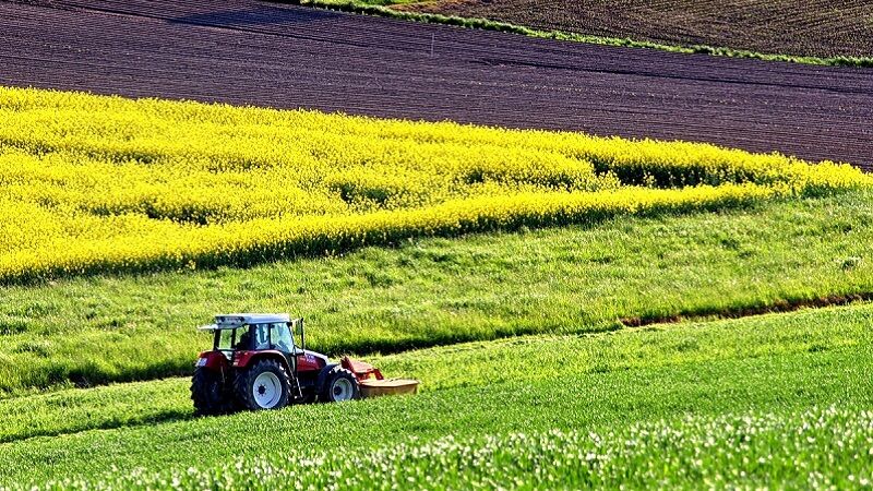 Tarım Bakanı'ndan Çiftçilere Müjde
Tarım ve Orman Bakanı İbrahim Yumaklı, üreticilere yönelik dev bir destek paketini duyurdu. Yeni uygulama kapsamında, çiftçiler 300 bin TL'ye kadar yüzde 100 faiz/kar payı indirimli kredi kullanabilecek.