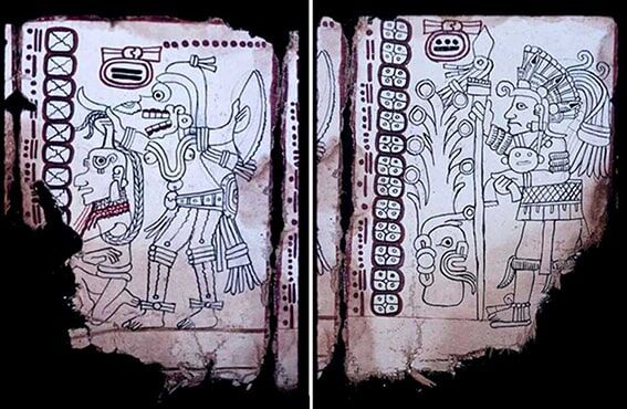 8. Grolier Kodeksi
1960’larda bulunan Grolier Kodeksi, Maya hiyeroglifleri ve Venüs takvimi içeren bir metin. “Maya mavisi” boyasıyla resimlendirilmiş olması, orijinalliğini destekliyor. Ancak yağmacılardan alındığı için kökeni tartışmalı. New York’taki bir kulüpte sergilenen kodeks, Maya astronomisinin derinliğini gösteriyor.