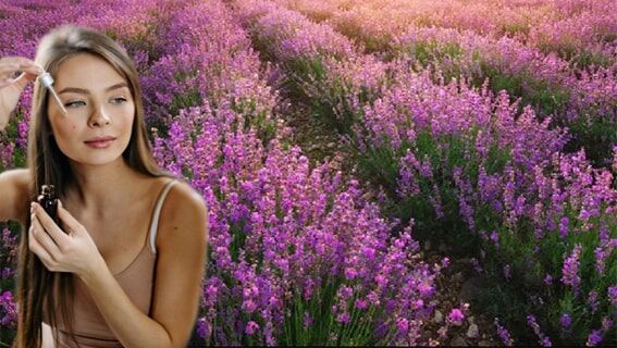 Lavanta
Lavanta, aromaterapinin en popüler yağlarından biridir ve tatlı, çiçeksi bir kokuya sahiptir. 2012 yılında yapılan bir araştırma, lavanta yağının limbik sistemi etkileyerek kaygıyı azalttığını göstermiştir. Sakinleştirici etkisiyle uykuya geçişi kolaylaştırır. Birkaç damla lavanta yağını badem veya jojoba yağıyla karıştırıp ılık banyo suyuna ekleyerek rahatlatıcı bir banyo yapabilirsiniz. Anksiyete, egzama, akne, yanık, kas ve baş ağrılarını hafifletmede en etkili sonuçları verir.

