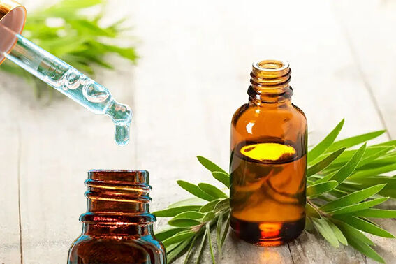 Çay Ağacı Yağı Nedir?
Çay ağacı yağı, Avustralya’ya özgü Melaleuca alternifolia ağacının yapraklarından elde edilir. 100’den fazla bileşik içeren bu yağ, antibakteriyel, antifungal ve anti-inflamatuar özelliklere sahip olabilir. Bu nedenle cilt bakımı, saç bakımı ve çeşitli ev reçetelerinde yaygın olarak kullanılır. Reçetesiz satılan çay ağacı yağı, %100 saf esansiyel yağ olarak veya %5-15 oranında seyreltilmiş kremler, jeller ve temizleyiciler şeklinde bulunur.