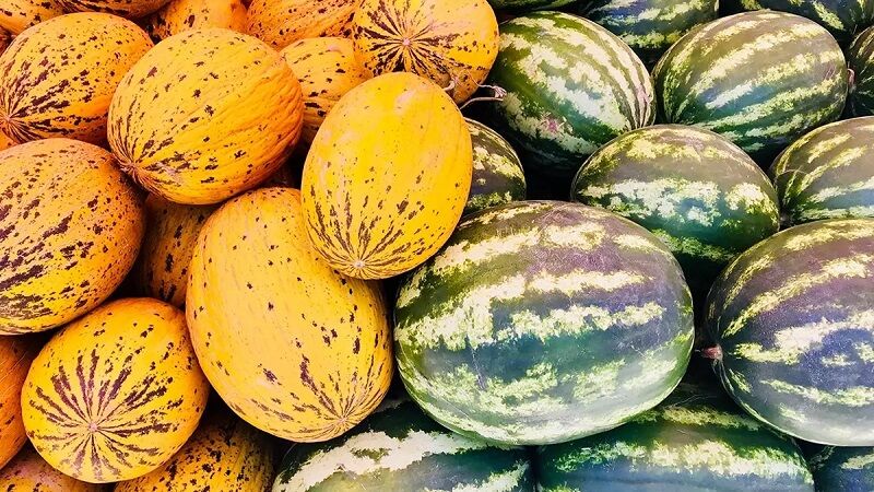 Sigara, alkol, hareketsizlik ve stres gibi olumsuz faktörlerin yanı sıra, yetersiz ve sağlıksız beslenme alışkanlıkları da kanser oluşumunu tetikleyebiliyor. Ancak sofralarımıza dahil edeceğimiz birkaç önemli besinle bu riskler azaltılabiliyor. Uzmanlar, kanser önleyici özellikleri bilimsel olarak kanıtlanmış 7 temel besinin günlük beslenme düzenine mutlaka dahil edilmesi gerektiğini söylüyor.