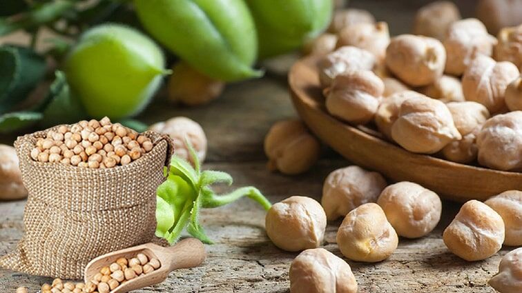 2. Nohut
Nohut, protein, lif ve çinko gibi temel besin maddeleriyle dolu bir baklagildir. Bağışıklık sistemini doğal yollarla güçlendirmek isteyenler için ideal bir seçenektir. 100 gram pişmiş nohut, yaklaşık 1,53 mg çinko sağlar. Nohutu humus, salata ya da ana yemeklerde kullanarak hem lezzetli hem de sağlıklı bir diyet oluşturabilirsiniz.