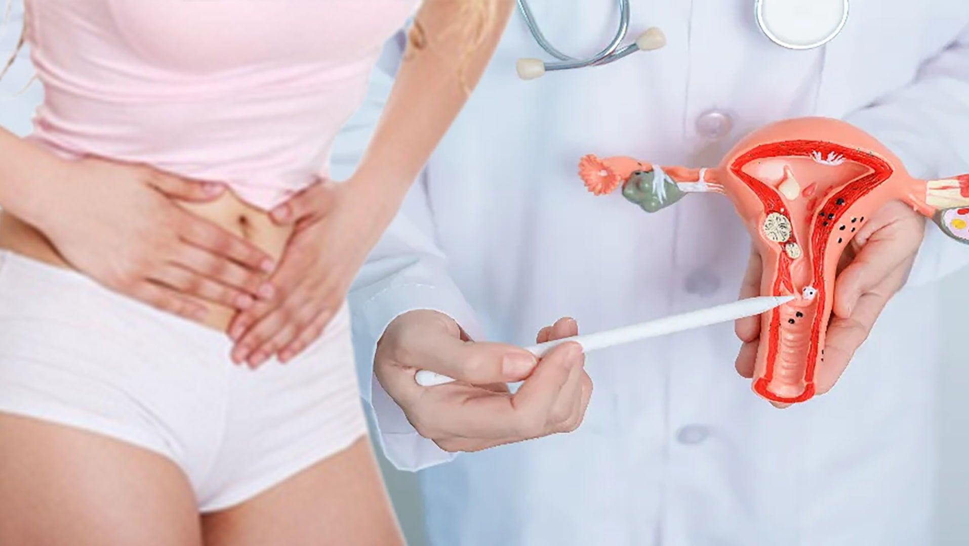 Rahim
Bu organın tek amacı, fetüsün doğumuna kadar gelişimini desteklemektir. Ağrılı veya aşırı adet kanamaları, iyi huylu büyümeler veya kanser gibi nedenlerle rahim alınabilir. Bu işlem genellikle sağlığı etkilemez.