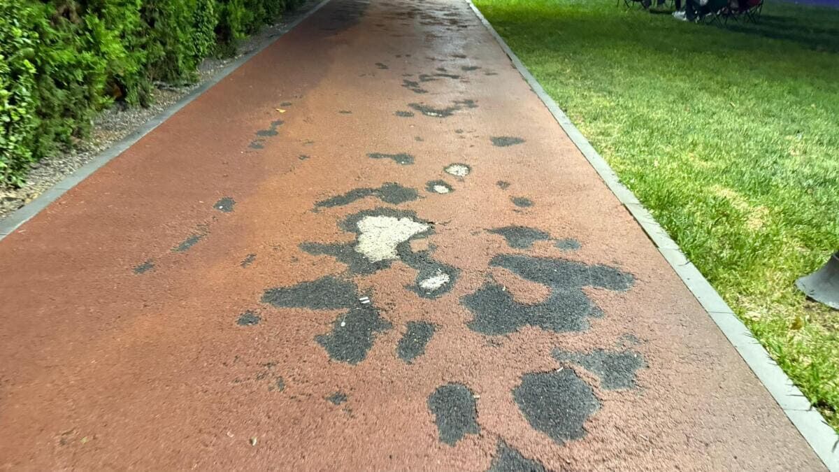 Ancak bu yoğun ilgi beraberinde bilinçsiz kullanımı da getirdi. Yürüyüş parkuru, sadece yürümek ve koşmak için yapılmış olmasına rağmen, birçok kişinin bisiklet ve paten sürmesi zeminin kısa sürede yıpranmasına neden oldu.

