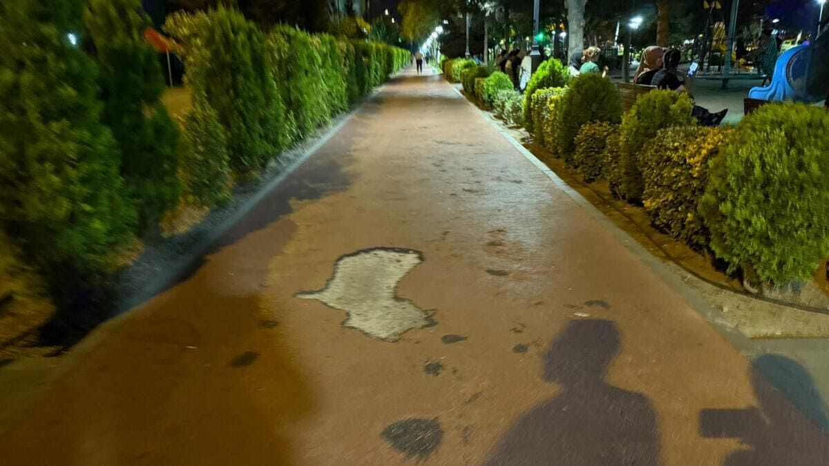 Sıfırdan yenilenmişti

Kayseri’nin en çok tercih edilen dinlenme ve sosyalleşme alanlarından biri olan Alpaslan Parkı, birkaç yıl önce belediye tarafından baştan aşağı yenilenmişti.