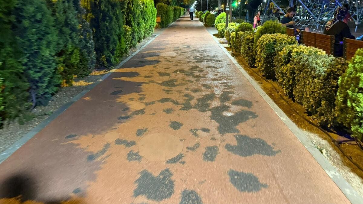 Parkta bakım beklentisi

Vatandaşlar, yürüyüş parkurundaki bozulmaların onarılmasını ve parkın yeniden düzenlenmesini istiyor.
