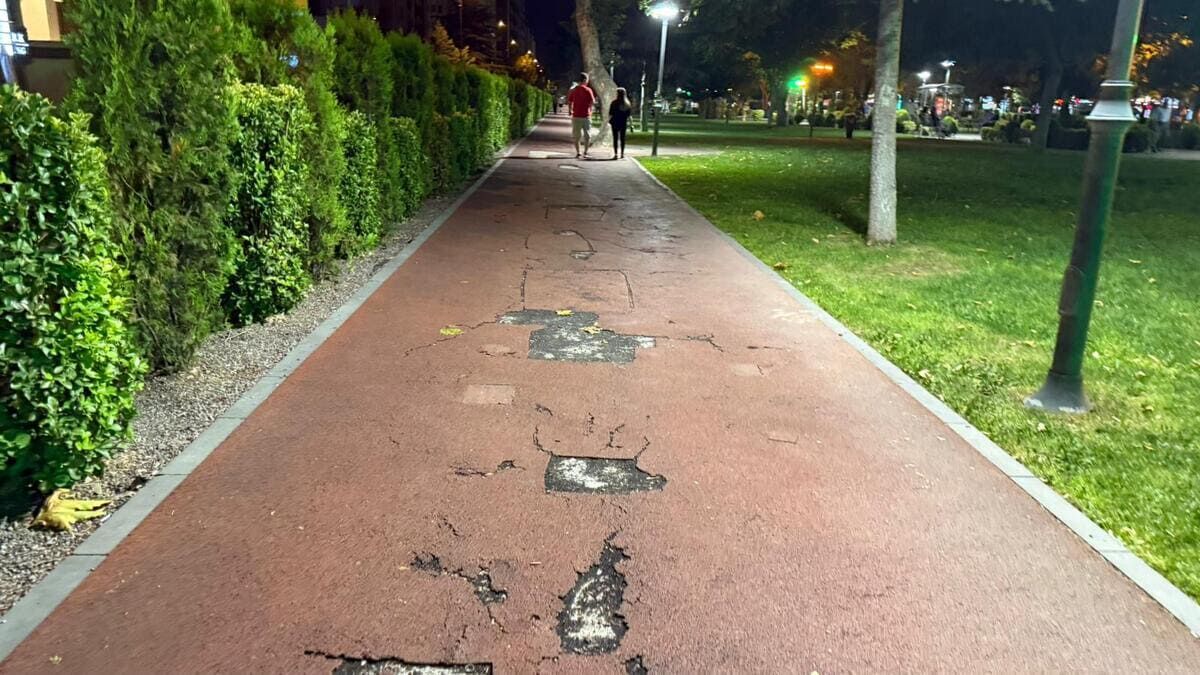Vatandaşların yoğun ilgisi

Yaz kış fark etmeksizin yoğun ilgi gören park, özellikle akşam saatlerinde yürüyüş yapan vatandaşlarla dolup taşıyor.