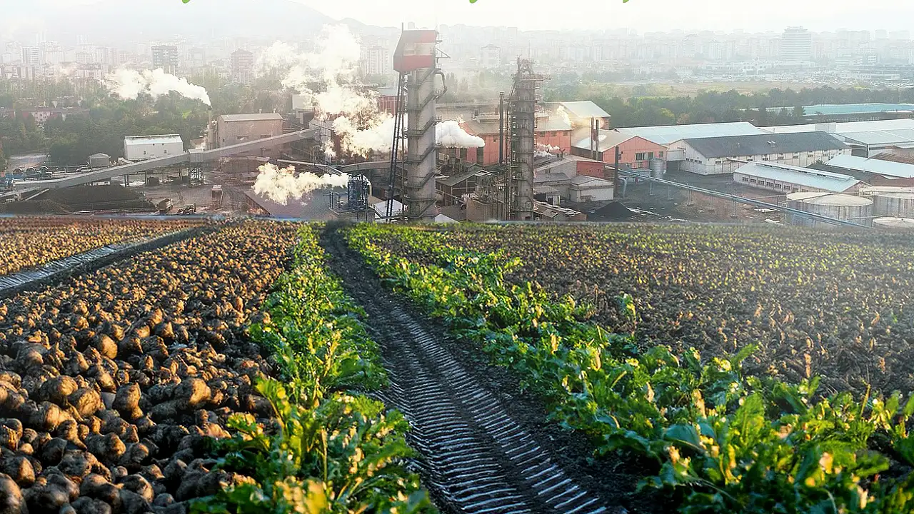 Köylerde Nüfus Geriledi, Hükümet Düğmeye Bastı
TÜİK verilerine göre 2000’li yıllarda nüfusun yüzde 35’i köylerde yaşarken bu oran 2024 itibarıyla yüzde 6,6’ya geriledi. Köylerde kalan yaklaşık 5,7 milyon kişinin önemli bir kısmı yaşlılardan oluşuyor. Bu tablo, üretim ve istihdam açısından ciddi bir kayba yol açtı.