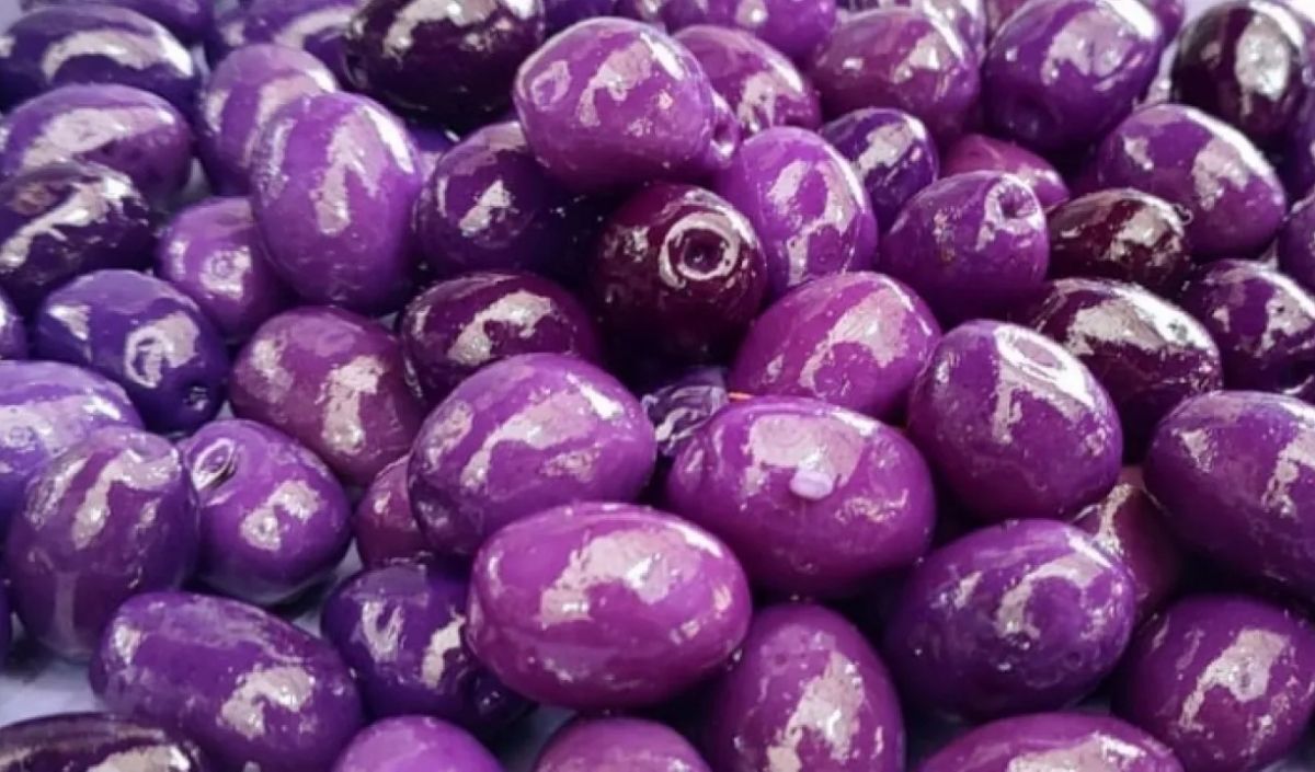 zeytin