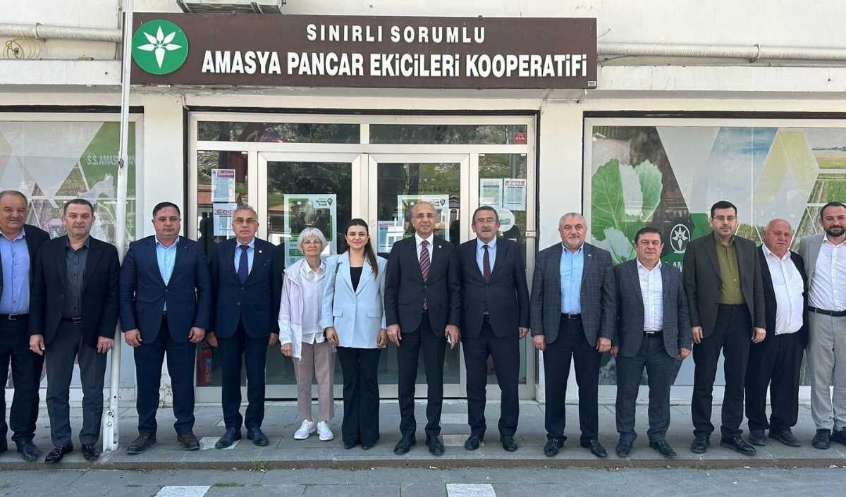 aşkın genç, CHP haberleri, amasya 