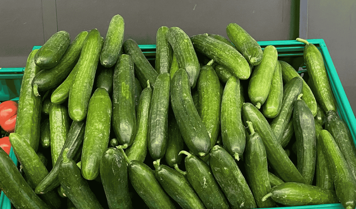 SALATALIK