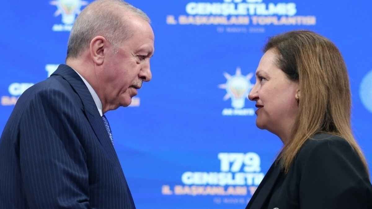 Köksal karikatürü başını yaktı: Cumhurbaşkanına hakaretten gözaltına alındı!